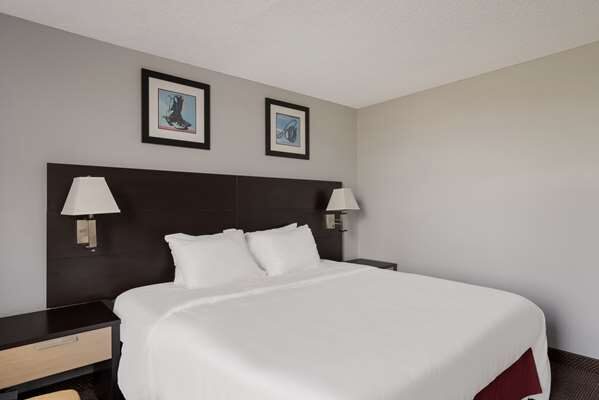 Room with one king bed